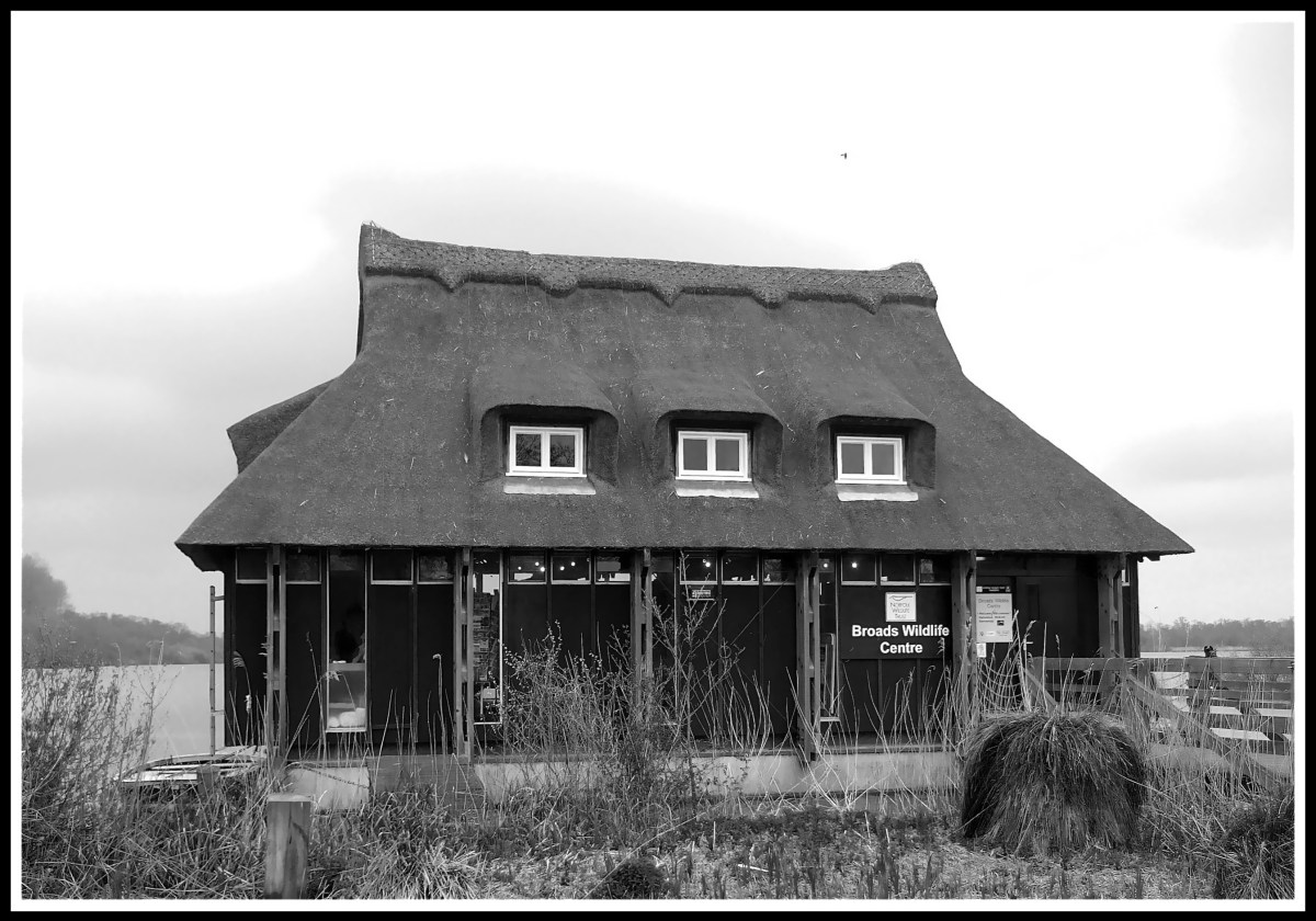 Photo of a bird watching wildlife centre in front of a big lake
