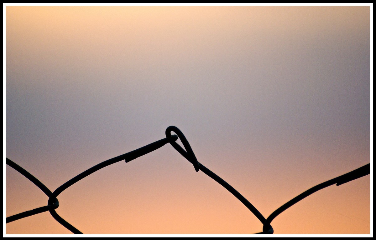 a close up of a wired fence with a beautiful sunset sky behind