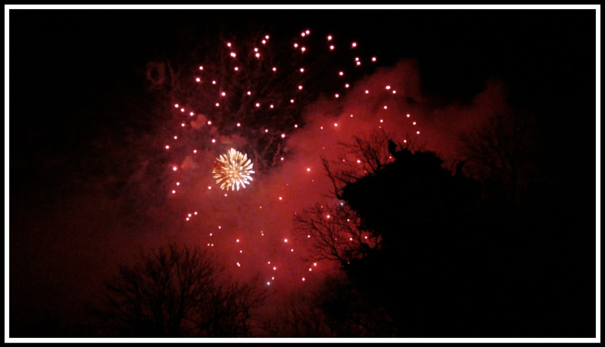 Beautiful red fireworks illuminate the black sky