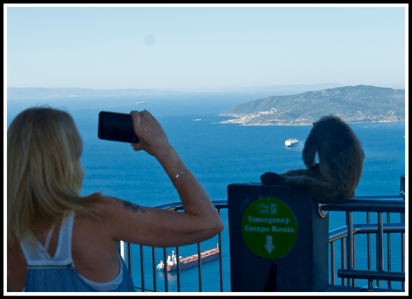 Sarah & Gibraltar Monkey.png Sarah taking a video of one of the monkeys at the top of Gibraltar