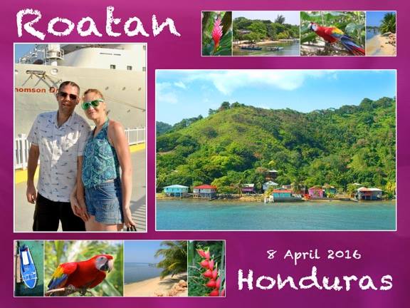 12986931 1324584634235281 2723177411284443547 n