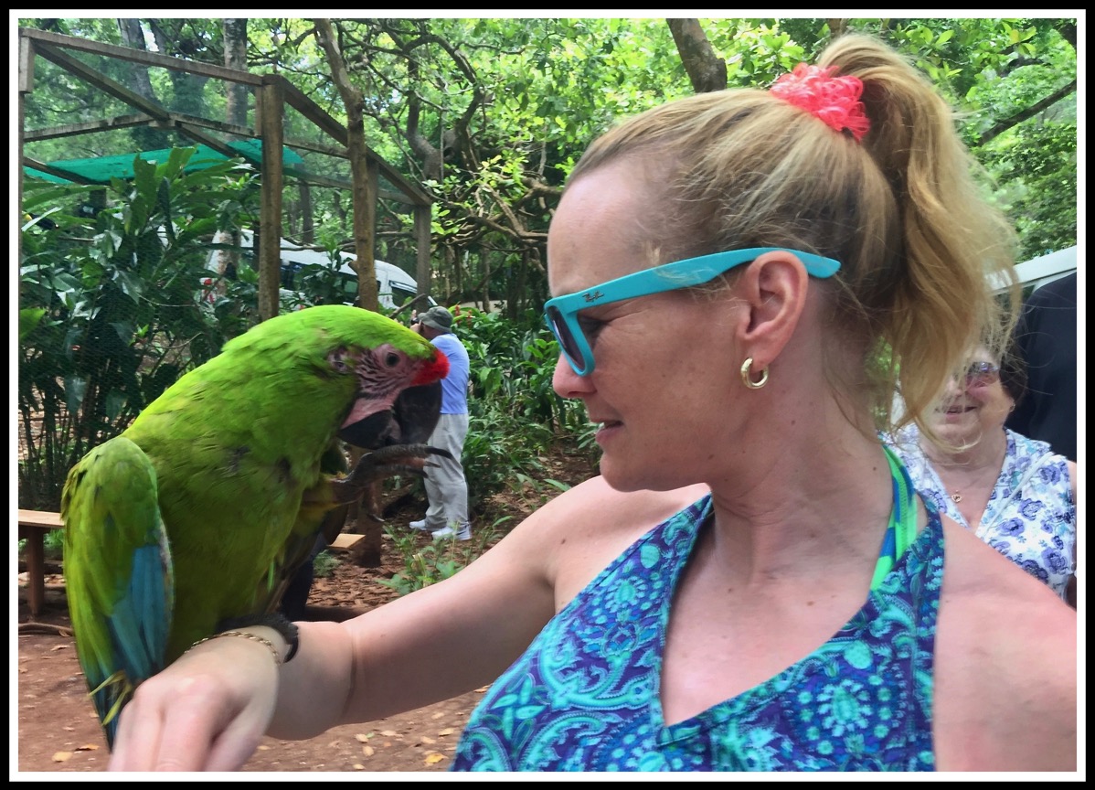 3 Roatan Sarah and the Parrot