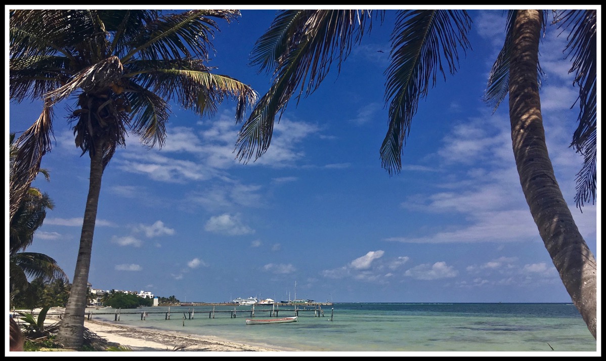 A VIEW OF THE STUNNING BEACH AND SEA LOOKING THROUGH A PAIR OF PALM TREES ON EITHER SIDE OF THE PHOTOO